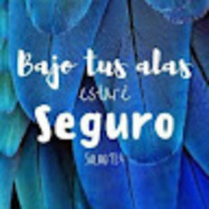 Meet your Posher, Judith